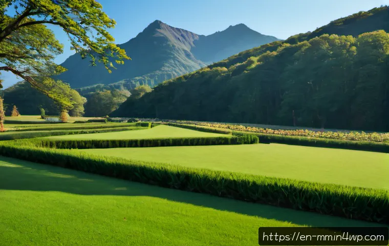 Soil Recovery After Floods, Wildfires, and Storms: A Practical Restoration Plan 4 자연재해와 토양 건강 회복 전략 관련 이미지 2