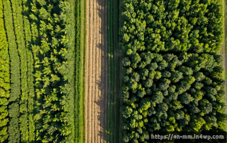 토양 건강을 위한 작물 순환 시스템 - Photorealistic aerial view of a well-organized North American farm demonstrating crop rotation for s...